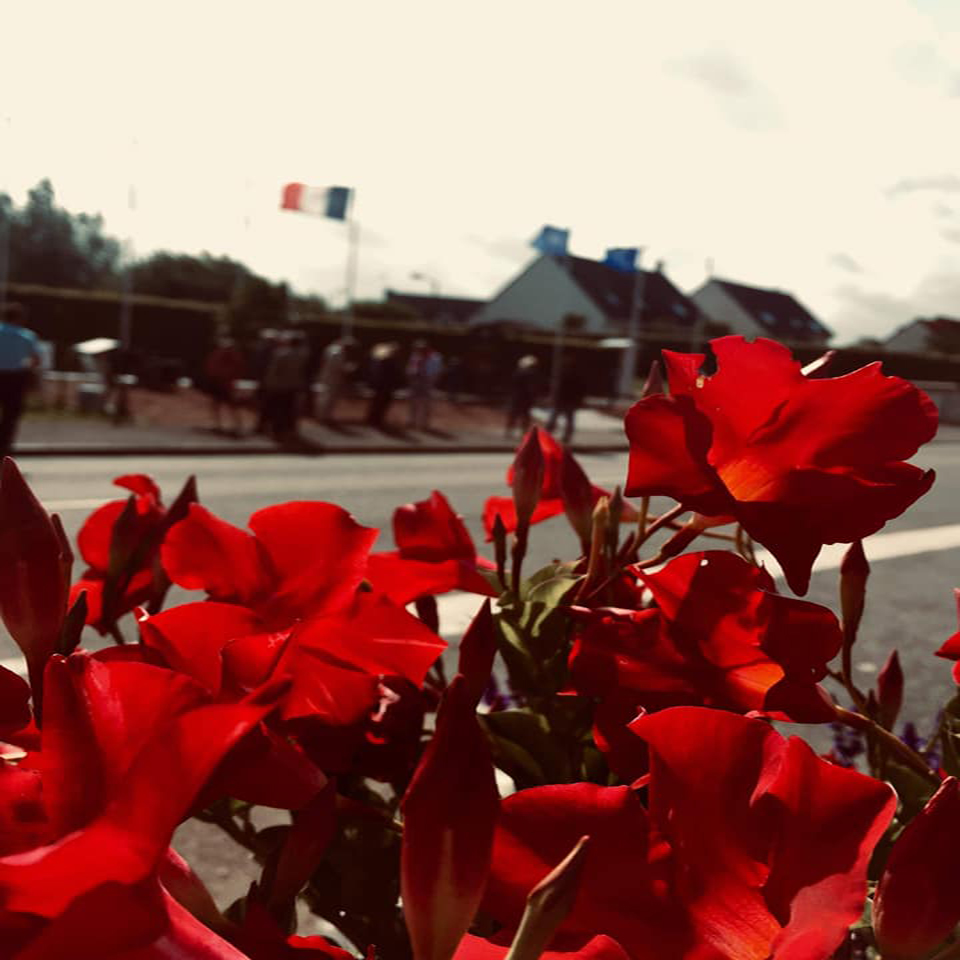 Fleurs lors d'une cérémonie devant le Mémorial