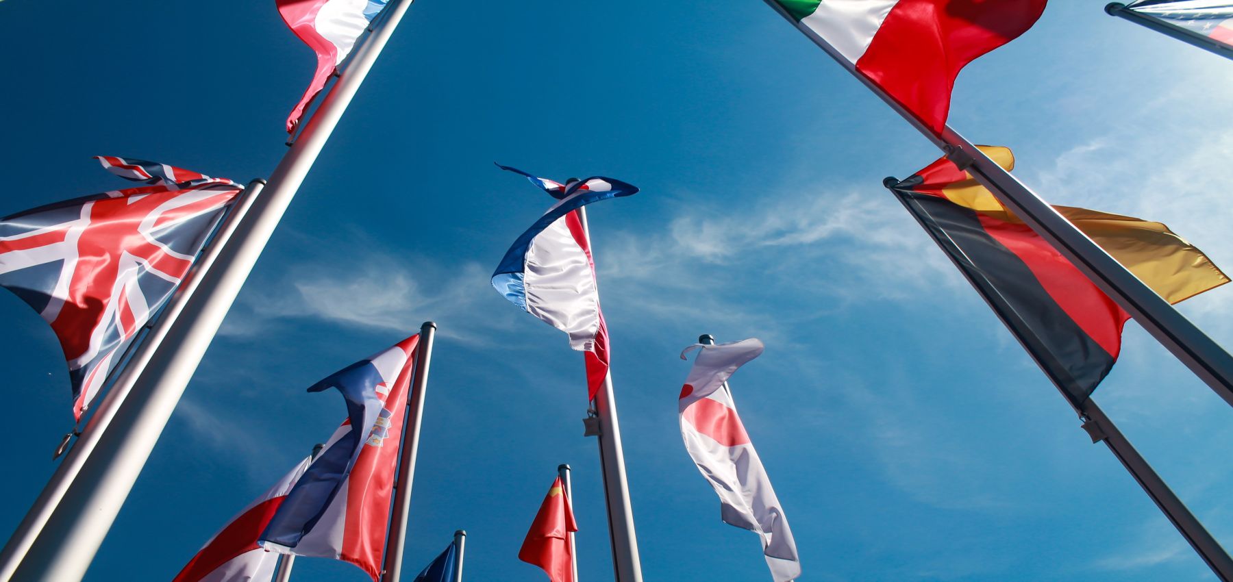 photo d'un vétéran américain portant le drapeau